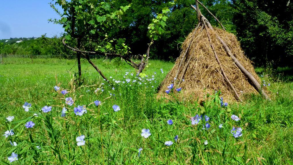 Country House Uliana Tskaltubo Exterior photo